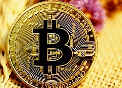 Giá Bitcoin hôm nay 25/5: Bitcoin vùng lên giữa nỗi lo sụp đổ