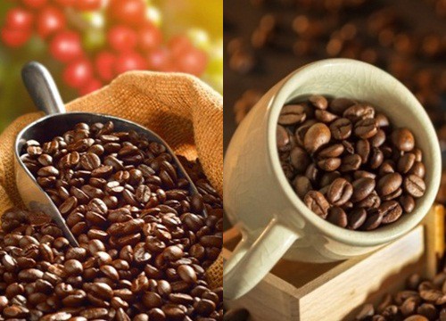 Giá cà phê hôm nay 25/5: Arabica duy trì đà giảm, thị trường rủi ro lớn hay cuộc chơi của giới đầu tư tài chính?