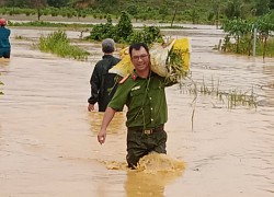 Lâm Đồng: Mưa lớn gây ngập úng hàng chục nhà dân và hàng trăm ha cây trồng