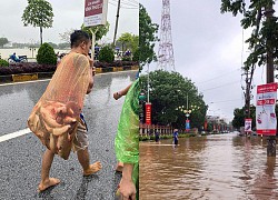 Phố thành sông, người Vĩnh Yên mang nơm, vó bắt cá