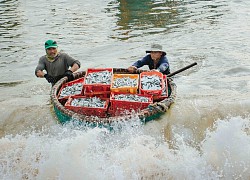 Trời hửng sáng, bội thu cá nục người người hớn hở: Thu về 3-4 triệu đồng/ngày