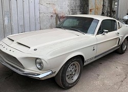 Xe độc Ford Shelby Cobra GT500 đời 1968 tại Việt Nam