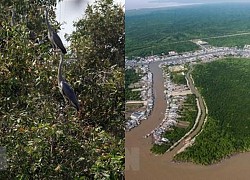 Chung tay bảo tồn hệ sinh thái các vùng đất ngập nước