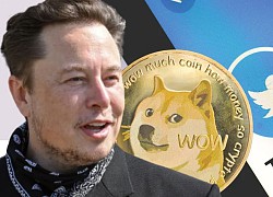 Chuyện gì đây: Elon Musk bị nhà đồng sáng lập Dogecoin gọi là kẻ lừa đảo, bán 'giấc mơ làm giàu' cho người nghèo