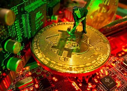 Doanh thu giảm kỷ lục, thợ đào Bitcoin vẫn cố cắm máy