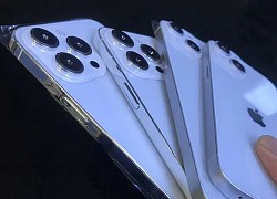 Mô hình iPhone 14 lộ diện