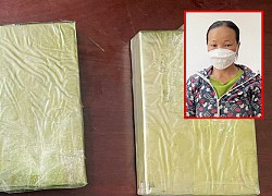 "Nữ quái" vận chuyển 2 bánh heroin từ nước ngoài vào Việt Nam