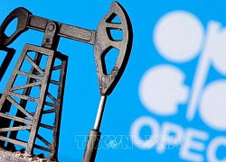 OPEC+ nhất trí tăng sản lượng dầu thô lên 648.000 thùng/ngày