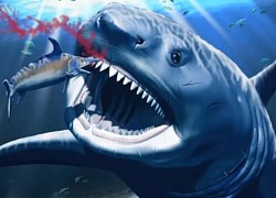 Sinh vật nhỏ gây ra cơn đau răng khủng khiếp cho siêu cá mập Megalodon