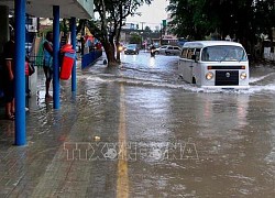 Số người thiệt mạng do mưa lũ tại Brazil tiếp tục tăng cao