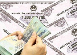 Tân Hoàng Minh thông tin phương án trả tiền cho các nhà đầu tư