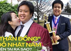 7 tuổi đạt kỉ lục "dịch giả nhỏ tuổi nhất Việt Nam", "thần đồng" Đỗ Nhật Nam hiện tại ra sao?