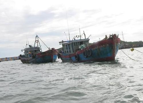 Bão số 1 còn mạnh thêm, nhiều tàu cá trong vùng nguy hiểm