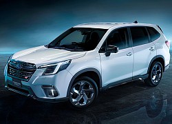 Subaru Forester bản thể thao STI Sport ra mắt