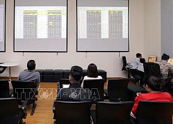 Chứng khoán phiên cuối tháng 6: Ngập trong sắc đỏ, VN-Index mất mốc 1.200 điểm