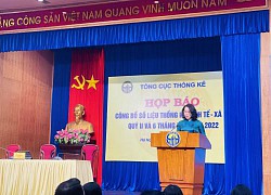 GDP quý II/2022 ước tính tăng 7,72% so với cùng kỳ năm trước