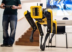 Quân đội Mỹ điều robot chó rà phá bom mìn đến Ukraine