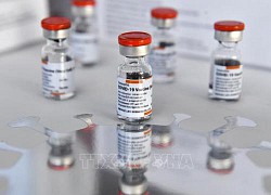 Ai Cập hỗ trợ vaccine ngừa COVID-19 cho châu Phi