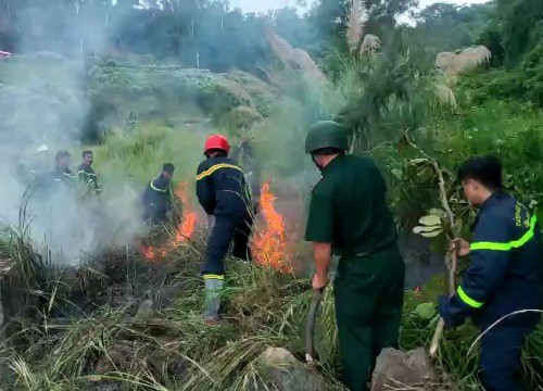 Đà Nẵng: Nhậu rồi hút thuốc, vứt tàn gây cháy ở bán đảo Sơn Trà