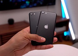 Điều gì khiến iPhone "bất tử" trong thế giới smartphone?