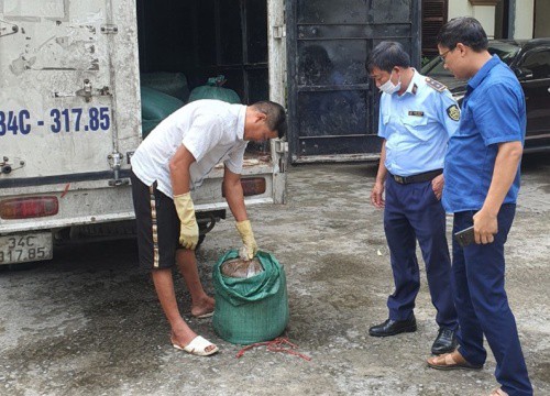 Hải Dương: Phát hiện gần 2 tấn mỡ động vật hôi thối được mang đi bán