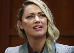 Mọi chuyện đều tại Amber Heard?