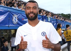 Ashley Cole tậu cảnh khuyển chống trộm