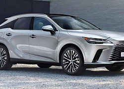 Lexus RX 7 chỗ bị khai tử, thay thế bằng mẫu SUV 3 hàng ghế