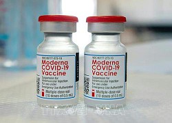 Moderna khẳng định vaccine đặc hiệu chống biến thể Omicron sinh miễn dịch tốt