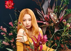 Những câu chuyện hài hước về "quý cô đãng trí" Jennie (BLACKPINK)