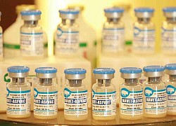 Vaccine dịch tả lợn châu Phi: Cơ hội nâng tầm ngành chăn nuôi Việt Nam