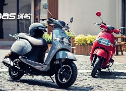 Zoom chi tiết Honda Tapas 100 chỉ 28 triệu đồng - "ngon, bổ, rẻ" hơn Vision