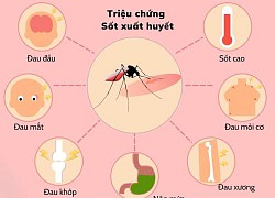 Bộ Y tế: Hơn 43.600 người mắc, 22 ca tử vong vì sốt xuất huyết