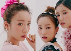 Apink ra mắt nhóm nhỏ ChoBom, liệu Itzy có để Yeji và Ryujin có nối gót sau màn dance cover đỉnh cao?