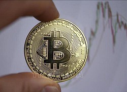 Bitcoin giảm xuống dưới mức 25.000 USD/BTC, thấp nhất trong 18 tháng