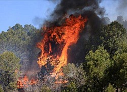 Cháy rừng nghiêm trọng tại bang California (Mỹ)