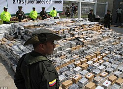 Colombia thu giữ 1,3 tấn cocaine cất giấu trong các lô hàng thực phẩm đông lạnh