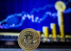 El Salvador bác bỏ thiệt hại do bitcoin rớt giá kỷ lục