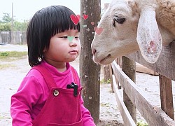 Mẹ vắng nhà - Ba là siêu nhân tập 7: 'Đanh đá girl' Đu Đủ làm anh Dừa phát khóc, còn dân tình thì 'vỗ đùi đen đét' vì... cưng quá!