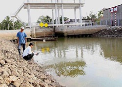 Ứng phó linh hoạt với biến đổi khí hậu, xâm nhập mặn- Bài 1: Chuyển đổi cây trồng vật nuôi