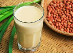 Cách làm sữa lạc thơm ngon, bổ dưỡng ngay tại nhà