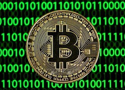 Đâu là động lực để bitcoin &#8216;lội ngược dòng&#8217;?