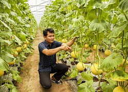Đơn giản hóa thủ tục hành chính, thu hút đầu tư kinh doanh trong lĩnh vực nông nghiệp