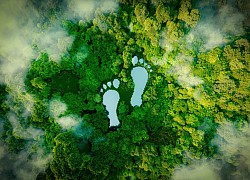 Giảm thiểu khí thải cho một chuyến du lịch bền vững