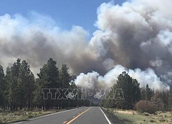 Mỹ: Đám cháy ở bang Arizona lan rộng, thiêu rụi hơn 110 km2 rừng