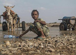 WFP cảnh báo tình trạng mất an ninh lương thực ở miền Nam Ethiopia