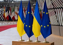 Dư luận Đức chia rẽ đối với vấn đề Ukraine gia nhập EU