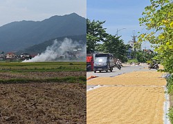 Đường thành sân phơi thóc, khói rơm rạ bay mù trời ngày mùa ở ngoại thành