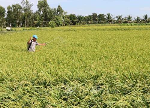 Khó khăn trong chuyển đổi đất nông nghiệp sang đất đô thị