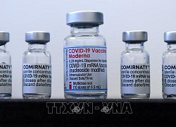 Mỹ phê duyệt tiêm vaccine mRNA ngừa COVID-19 cho trẻ 6 tháng đến 5 tuổi